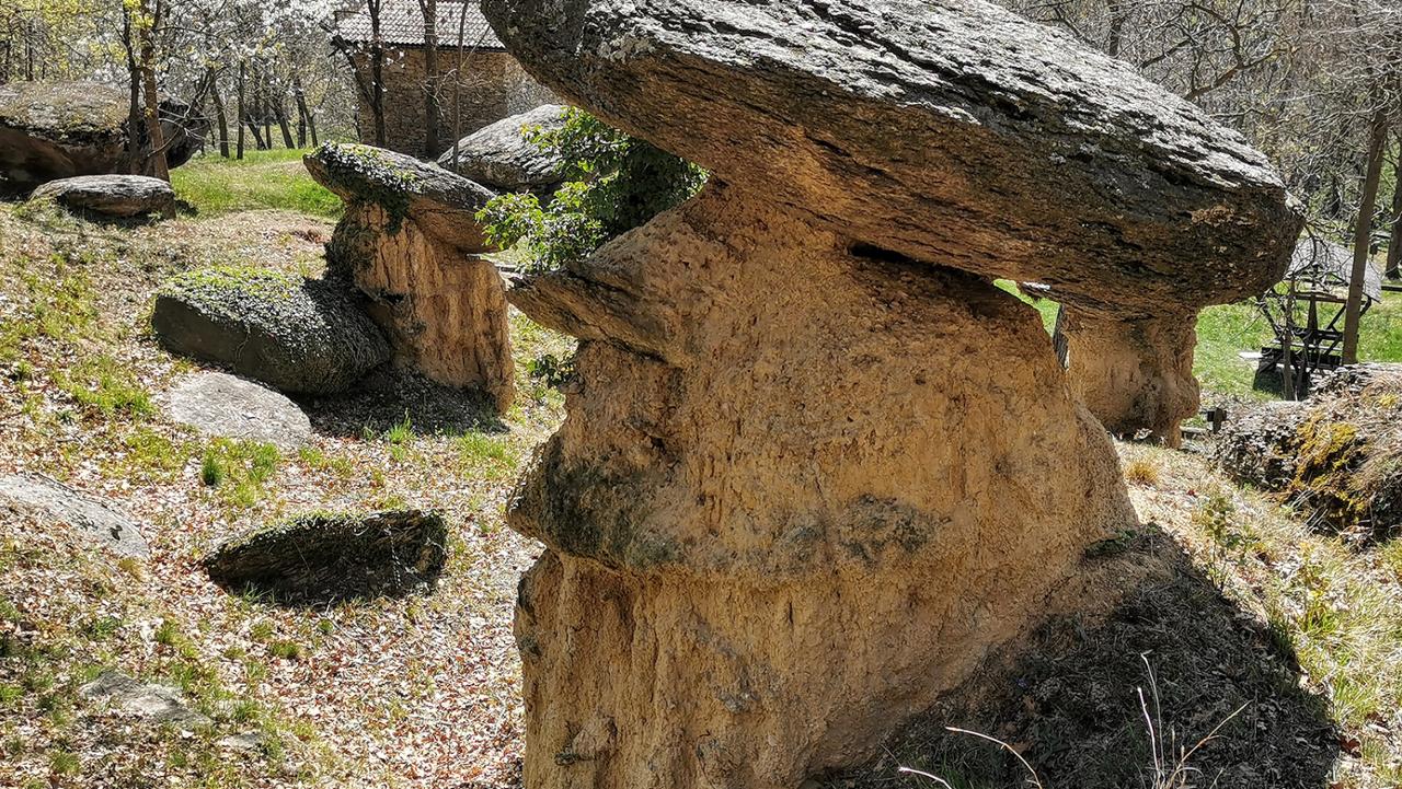 RISERVA NATURALE CICIU DEL VILLAR